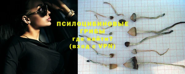 гидра Алексин