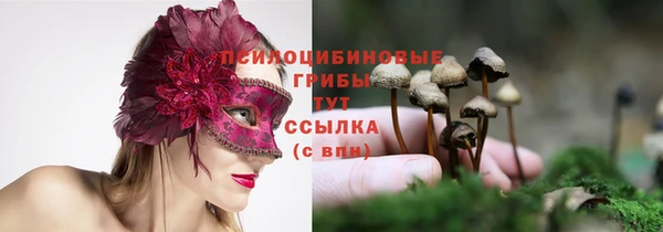 гидра Алексин