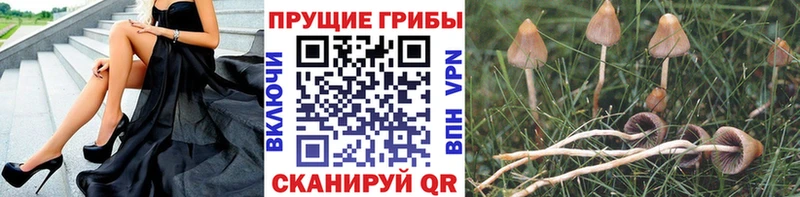 Галлюциногенные грибы Magic Shrooms  Лысьва 